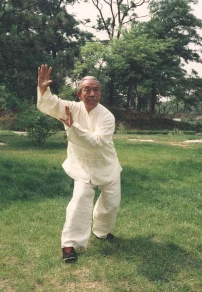 อาจารย์ หวังเฟ่ยเซิง ร่ายรำมวยไท่เก๊ก