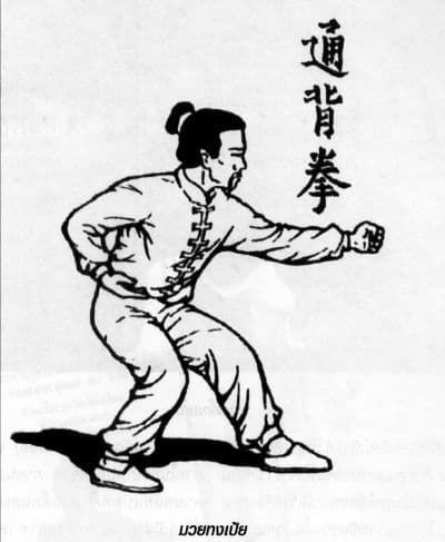 มวยทงปี้